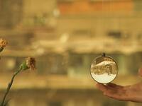 "آخر أيام المدينة": 
فلم للمخرج المصري تامر السعيد الذي عرض في مهرجان لندن السينمائي، يروي قصة مخرج يحاول أن يصنع فيلمًا عن مدينته وما تحمله من أحلام، في الوقت الذي يعاني من احتمالية أن يُطرد من شقته، في ظل استعداد المرأة التي يحب للهجرة، متذكرًا أيام طفولته.