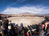 Camel wrestling at menemen Izmir. 
(Shutterstock/ File Photo)