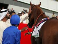 بيع جواد أصيل صغير مقابل 2.6 مليون يورو لحساب حاكم إمارة دبي الشيخ محمد بن راشد آل مكتوم خلال مزاد في مدينة دوفيل غرب فرنسا على الخيول الصغيرة المعدة للمشاركة مستقبلا في السباقات، في رقم قياسي تاريخي لهذه المزادات بحسب المنظمين.