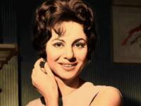 سيدة الشاشة العربية فاتن حمامة توفيت في 17 يناير2015 تعتبر من قبل الكثيرين علامة بارزة في السينما العربية حيث عاصرت عقودًا طويلة من تطور السينما المصرية وساهمت بشكل كبير في صياغة صورة جديرة بالاحترام لدور السيدات بصورة عامة في السينما العربية .