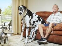 فلوريدا: أطول كلبة في العالم حيث يبلغ طولها 37.96 انش