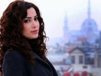 نسرين طافش ابنة الشاعر الفلسطيني يوسف طافش وأمها جزائرية، ولدت في حلب في عام 1982، وقد تزوجت من رجل أعمال إماراتي في عام 2008 ثم انفصلت عنه في عام 2013.
