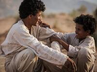 تدور أحداث الفيلم، حول الفتى البدوي ذيب وشقيقه حسين اللذان يتركان قبيلتهما في رحلة محفوفة بالمخاطر يموت خلالها حسين فتدفع الصعوبات بذيب الى تحمل مسؤوليات كبيرة في سن مبكرة ويقدم "ذيب" في طياته رحلة نضج الأخوين وتفاصيل مبادئ الرجولة والثقة التي تربيا عليها.