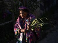 A Catholic faithful takes part the Palm Sunday procession on April 14, 2019 in San Pedro Sacatepequez, 30 km west of Guatemala City.  Johan ORDONEZ / AFP