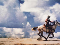 8. Richard Prince, Untitled (Cowboy)