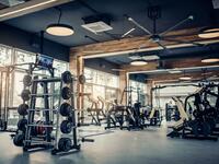 4. Fitness Equipment