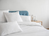 8. Bedding