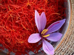Exporters and farmers have been lamenting that underpricing has caused a surge in the smuggling of saffron to neighboring Afghanistan.