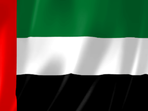 The two-day UAE Jiu-Jitsu Tournament is part of Abu Dhabi Showdown Week