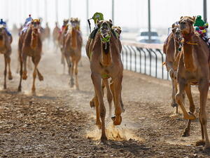 Photo: Dubai Calendar