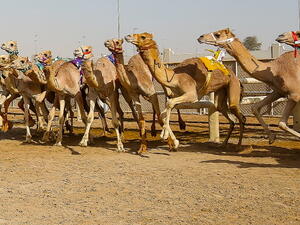 Photo: Dubai Calendar