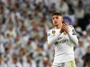 فيدي فالفيردي