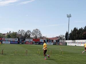 Lions go on sessions while abiding by social distancing rules (Photo: AA)