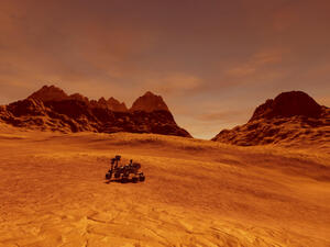 (Shutterstock/ File Photo)