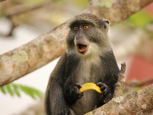 (Shutterstock/ File Photo)