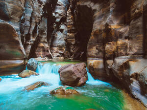 (Shutterstock/ File Photo)