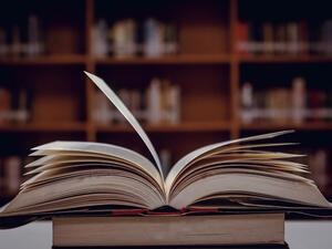 (Shutterstock/ File Photo)