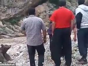 After being wounded, the clearly exhausted animal is tied up with a piece of rope by a group of men who then load the bear into a truck. (Instagram/Soheiloladzad)