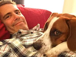 Andy Cohen. (Andy Cohen/ Instagram)