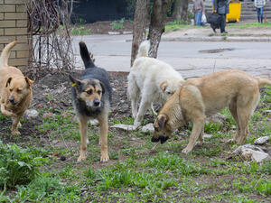 (Shutterstock/ File Photo)