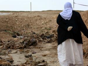 A Yazidi woman searches for clues that might lead her to missing relatives in the wake of the Islamic State group’s recent attacks on members of the minority. (AFP/ File Photo)