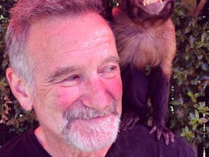 Robin Williams