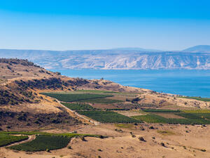 Golan Heights (Shutterstock)	