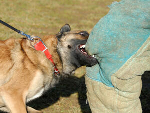 (Shutterstock/ File Photo)