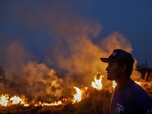 A labourer stares at a fire that spread to the farm he work on next to a highway in Nova Santa Helena municipality in northern Mato Grosso State, south in the Amazon basin in Brazil, on August 23, 2019. (AFP/ File Photo)