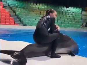 Dubai Dolphinarium has launched an investigation after one trainer filmed another sitting on the back of a dolphin out of water after campaigners described it as abuse. (Instagram)