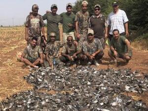 Saudi hunters' bird massacre sparks outrage in Morocco (Twitter)
