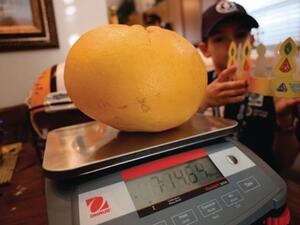 Louisiana couple grow world's largest, heaviest grapefruit. (Facebook)