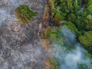 The Amazon forest is burning in Brazil (Twitter)
