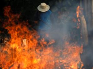Amazon Rainforest is burning at a record rate (Twitter)