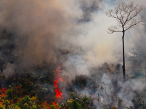 Stopping the raging Amazon fires is a top priority (AFP Photo)