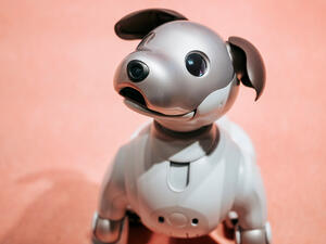 (Shutterstock/ File Photo)