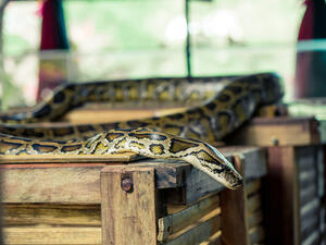 (Shutterstock/ File Photo)