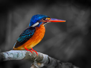 (Shutterstock/ File Photo)