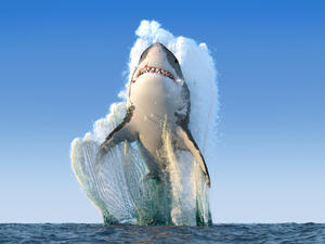 (Shutterstock/ File Photo)