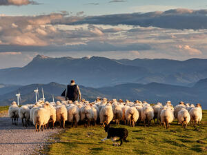 (Shutterstock/ File Photo)