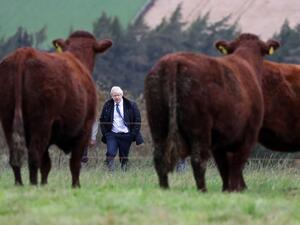 Britain's Prime Minister Boris Johnson (AFP)