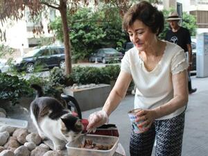 Vera says she buys 75 cans of cat food, 15 kilograms of dry food and four bags of chicken each week. (The Daily Star/Emil Jorgensen)