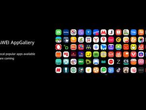 تعاونت هواوي في تقديم محتوى تطبيق قارئ هواوي (HUAWEI Reader) مع عشرات الشركاء في السوق الصينية، ومنها IReader Technology وDianzhong Technology وAli Literature وChina Literature