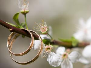 ما تفسير الحلم بالارتباط؟