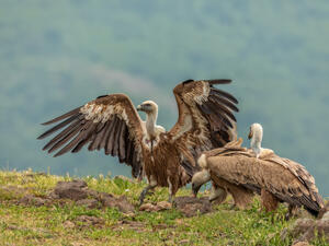 (Shutterstock/ File Photo)