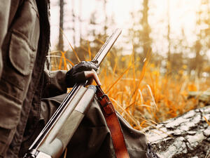 (Shutterstock/ File Photo)