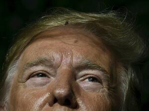 US President Donald Trump (AFP)