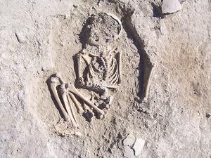 Anthropologists believe the bones belonged to a six-year-old who most likely died of trauma in the 4th millennium BC. (Daily Mail)