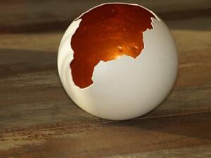 ما تفسير رؤية البيض في المنام؟