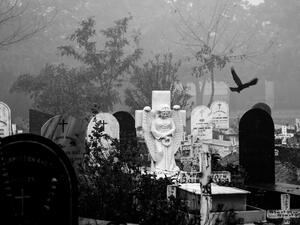 ما تفسير الحلم بالقبر في المنام؟